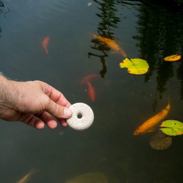 Mosquito Dunks® Summit® Responsible Solutions