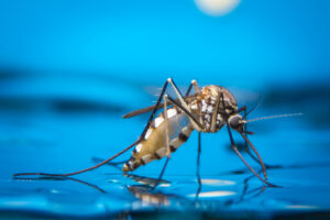 Mosquito® Prime™