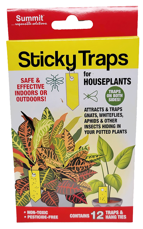 12-ct-Sticky-Traps-mobile